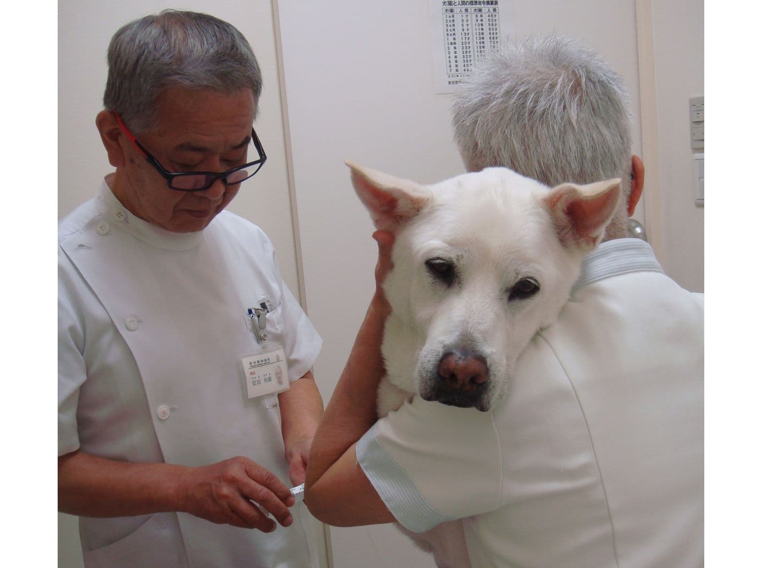 抗がん剤投与